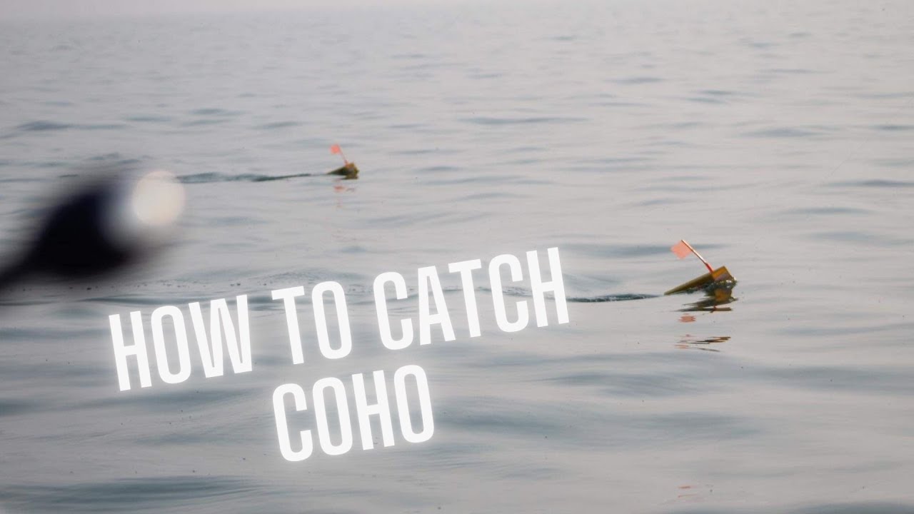 How to catch Spring coho - rundown of MY setup!