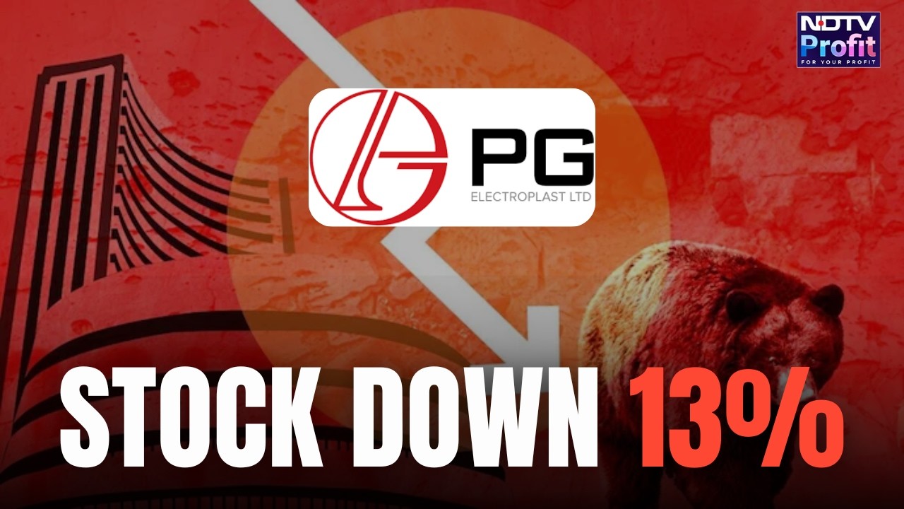Why This Stock Suddenly Fell 13% Today | PG Electroplast Gas Shock