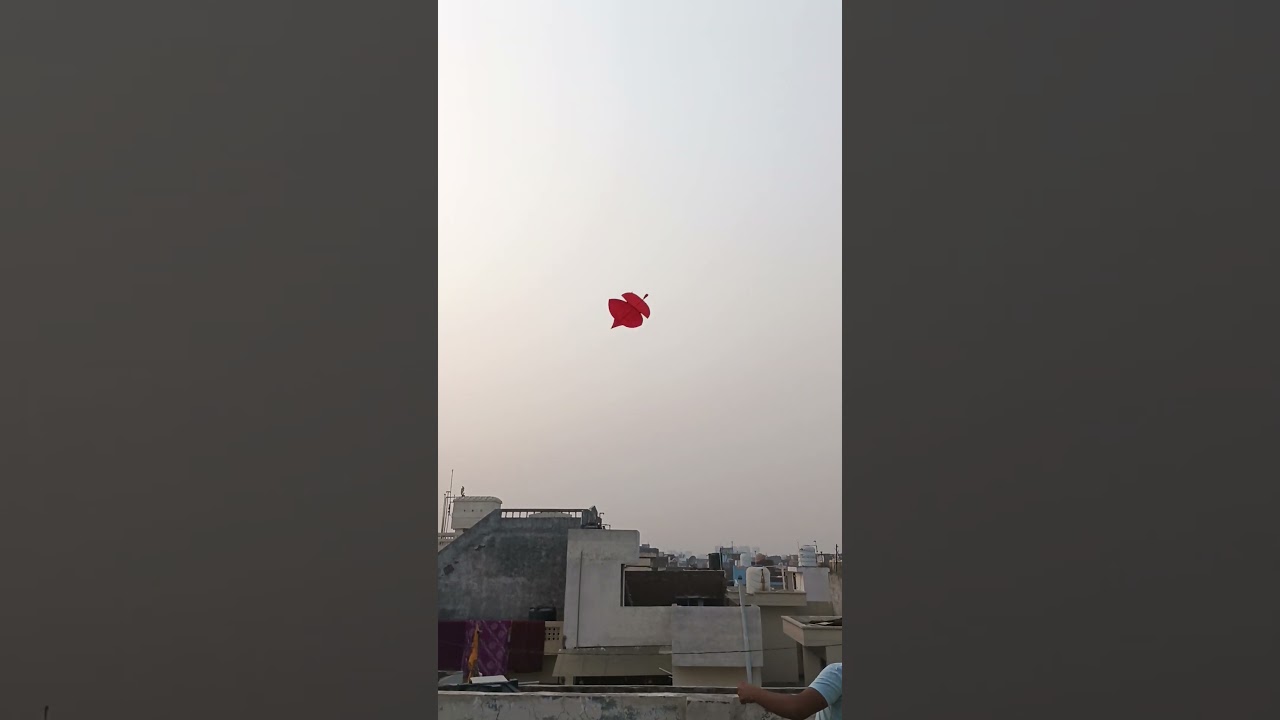 #kiteflying lohri da chaa #shortsvideo #short #kitelovers