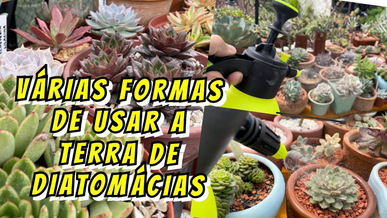 TERRA DE DIATOMÁCEAS, existe várias formas de utilizá-la ! Vem ver como faço !!!