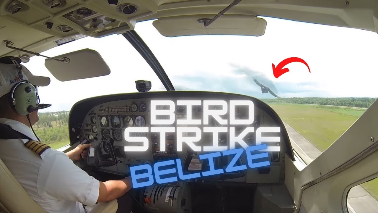 Bird Strike | Cessna 208 Caravan | Cockpit View | Maya Island Air Belize | BZE to TZA [Full Flight]