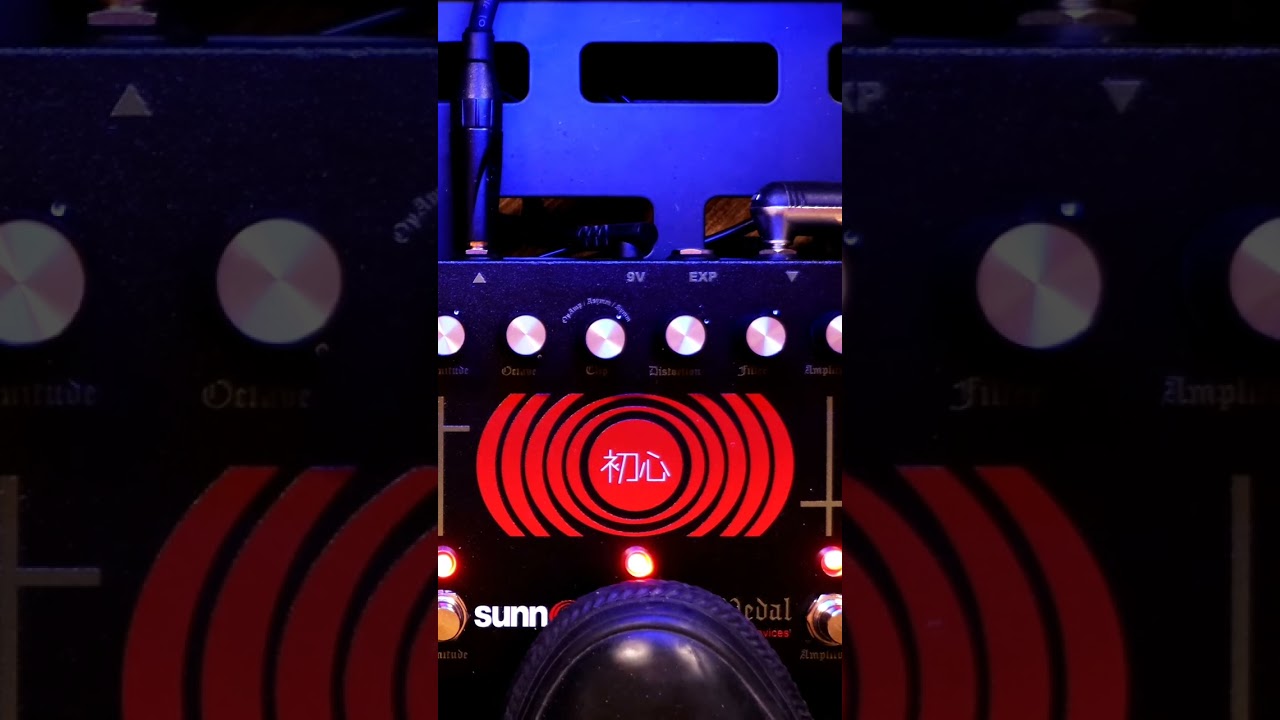 EarthQuaker Devices Life Pedal V3 - Demo by 