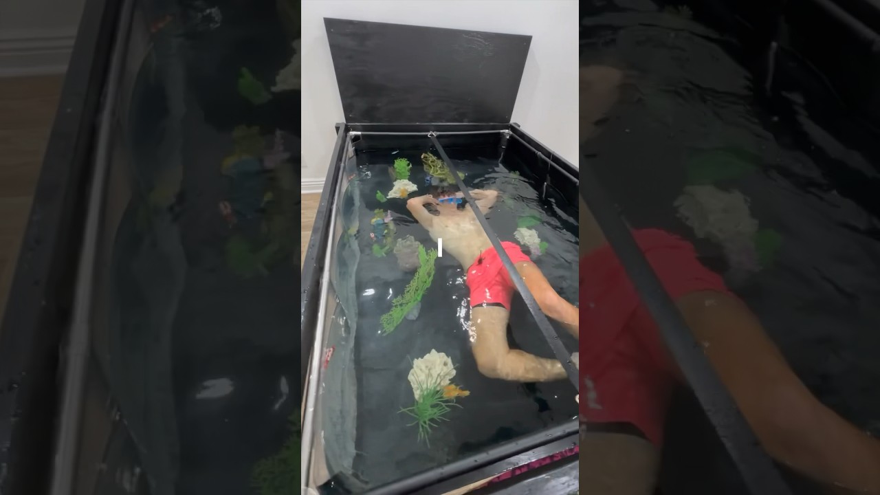 I Turned my Bed into a Fish Tank!
