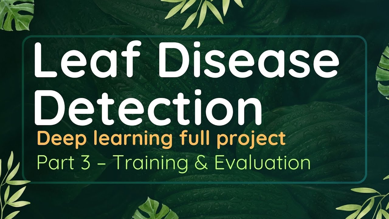 Leaf Disease Detection | Part 3 – Training & Evaluation | Deep learning full project
