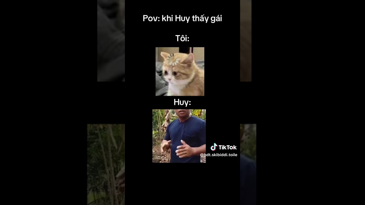 Khi mậu huy bị con kiến bú cu 