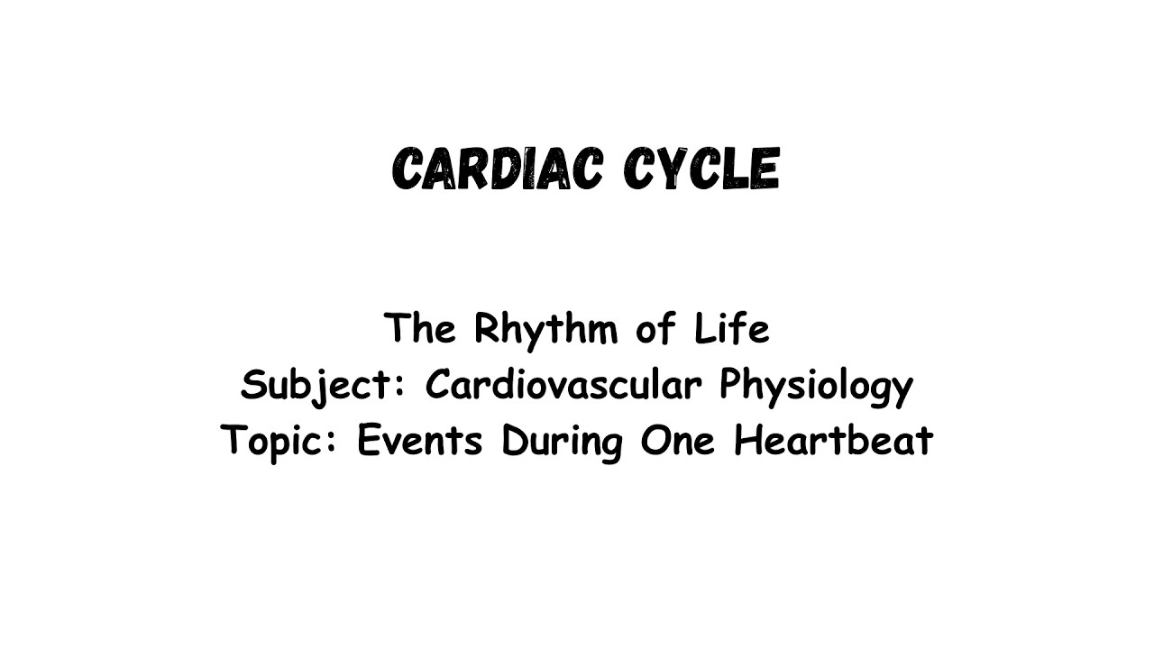 Cardiac Cycle Explained Clearly | Phases, Heart Sounds & Cardiac Output