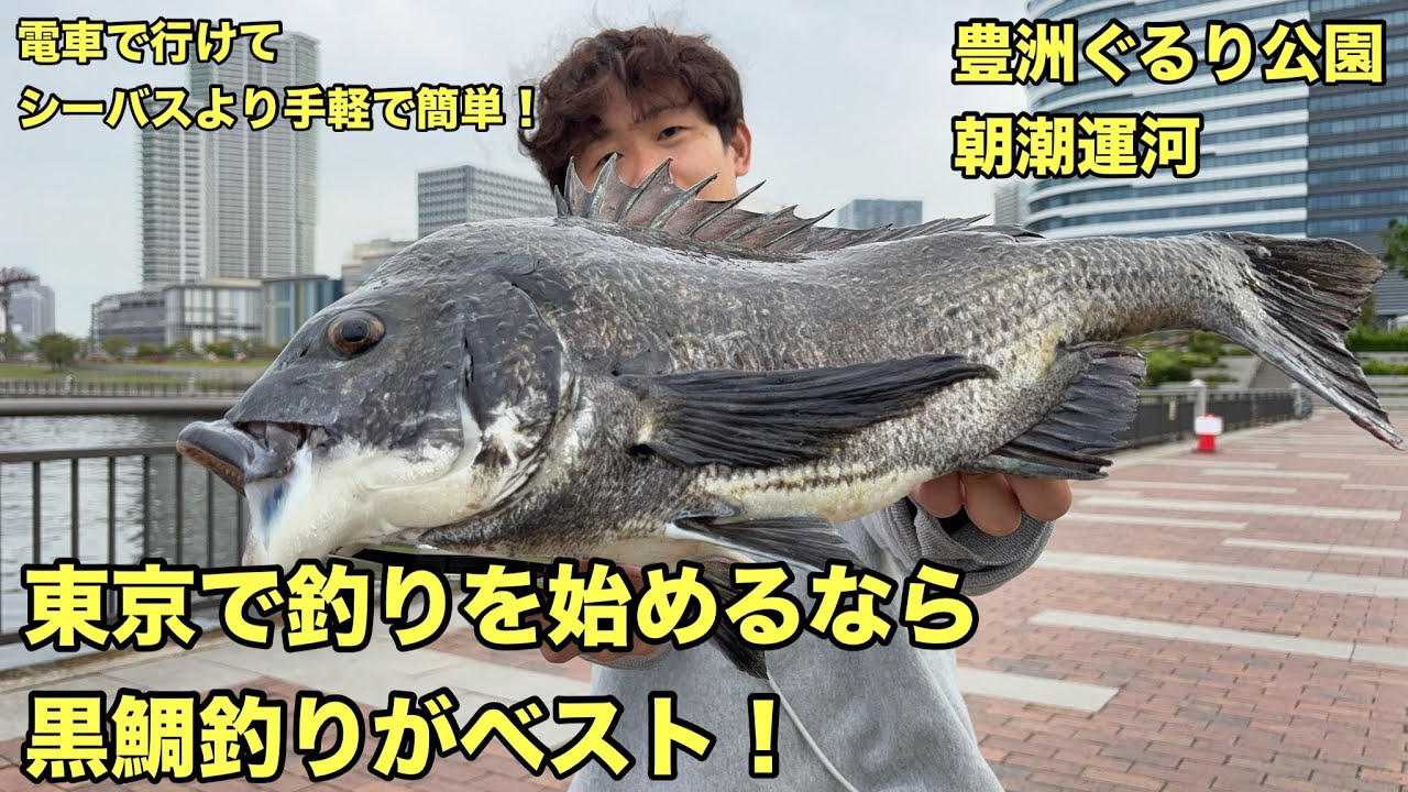 東京で釣りを始めるなら黒鯛釣りがベスト【豊洲ぐるり公園、朝潮運河】