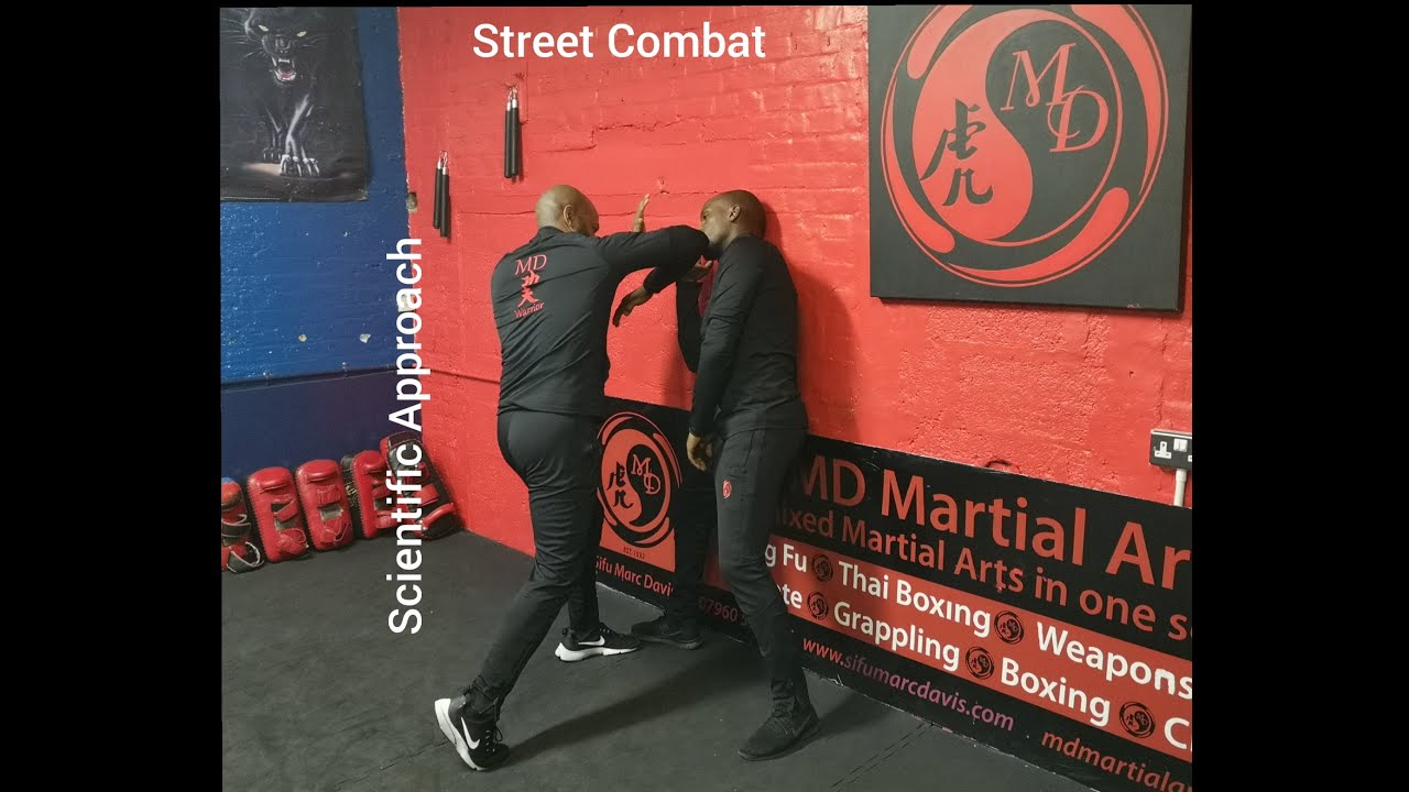 Martial Arts (MD System 2020)