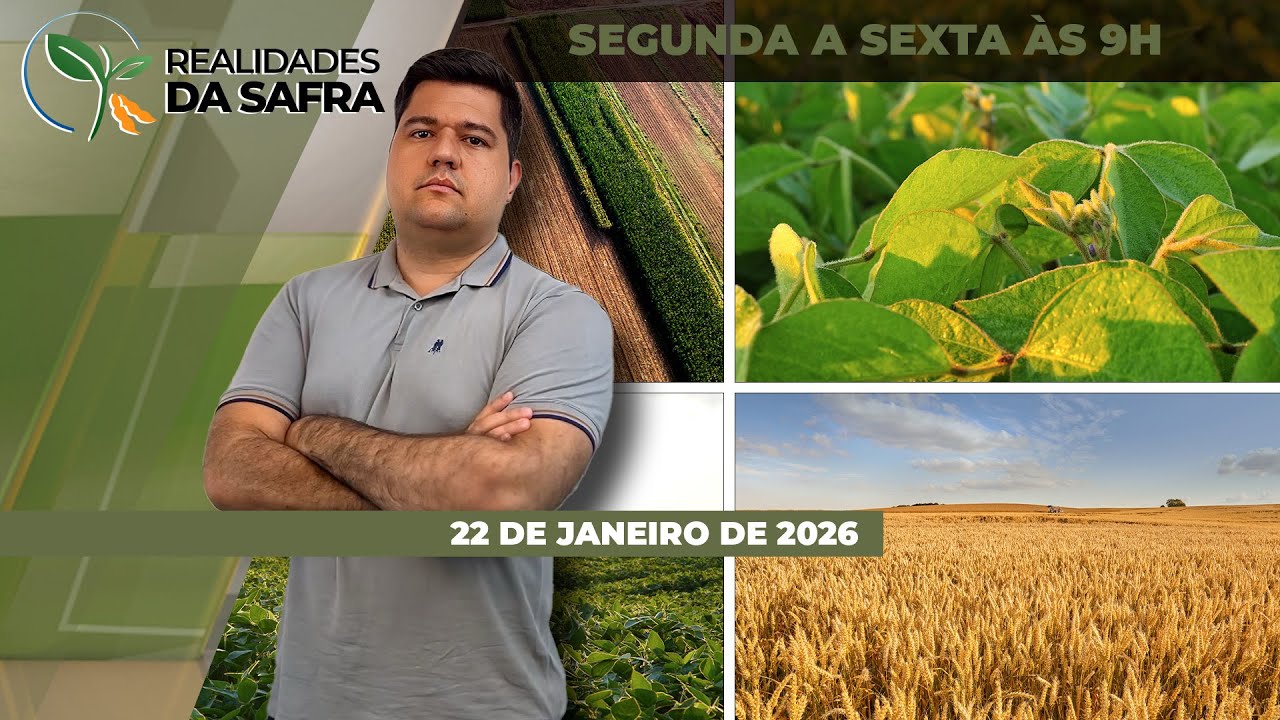 Colheita da soja avança com altas produtividades na Bahia e em Laguna Carapã/MS