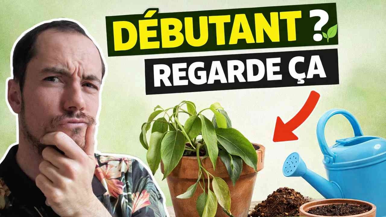 DEBUTANT(E) DANS LES PLANTES? GUIDE COMPLET