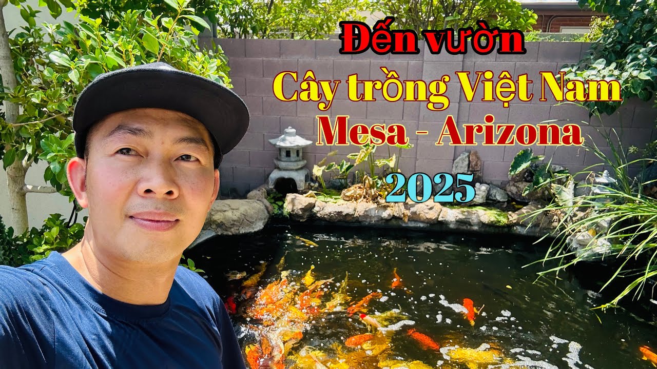 Lâu ngày quay lại vườn bán cây trồng của anh Kent ở Mesa Arizona.