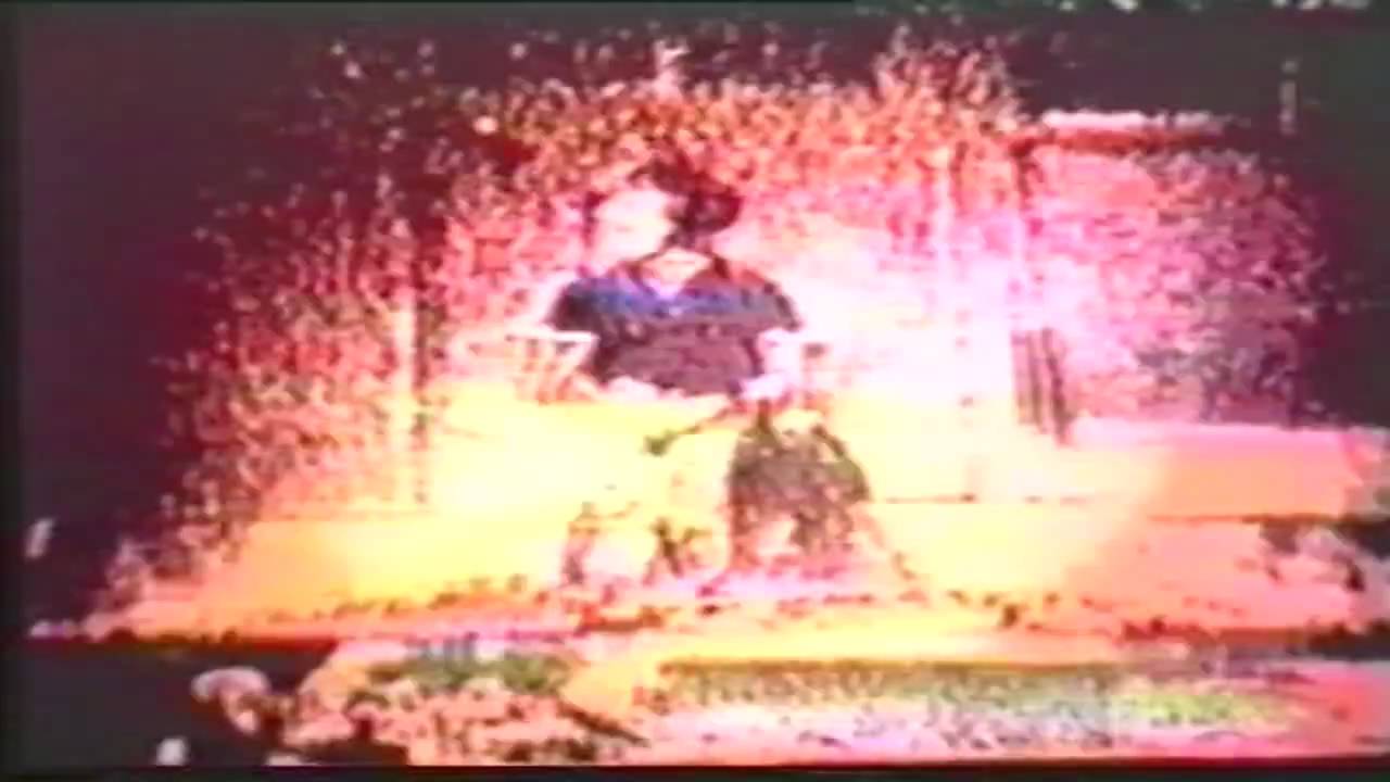 Vox Celeste - Deerhunter