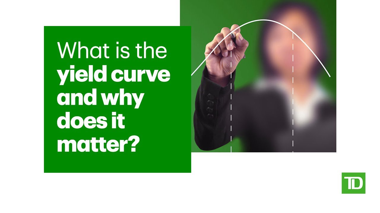 What is the yield curve and why does it matter?