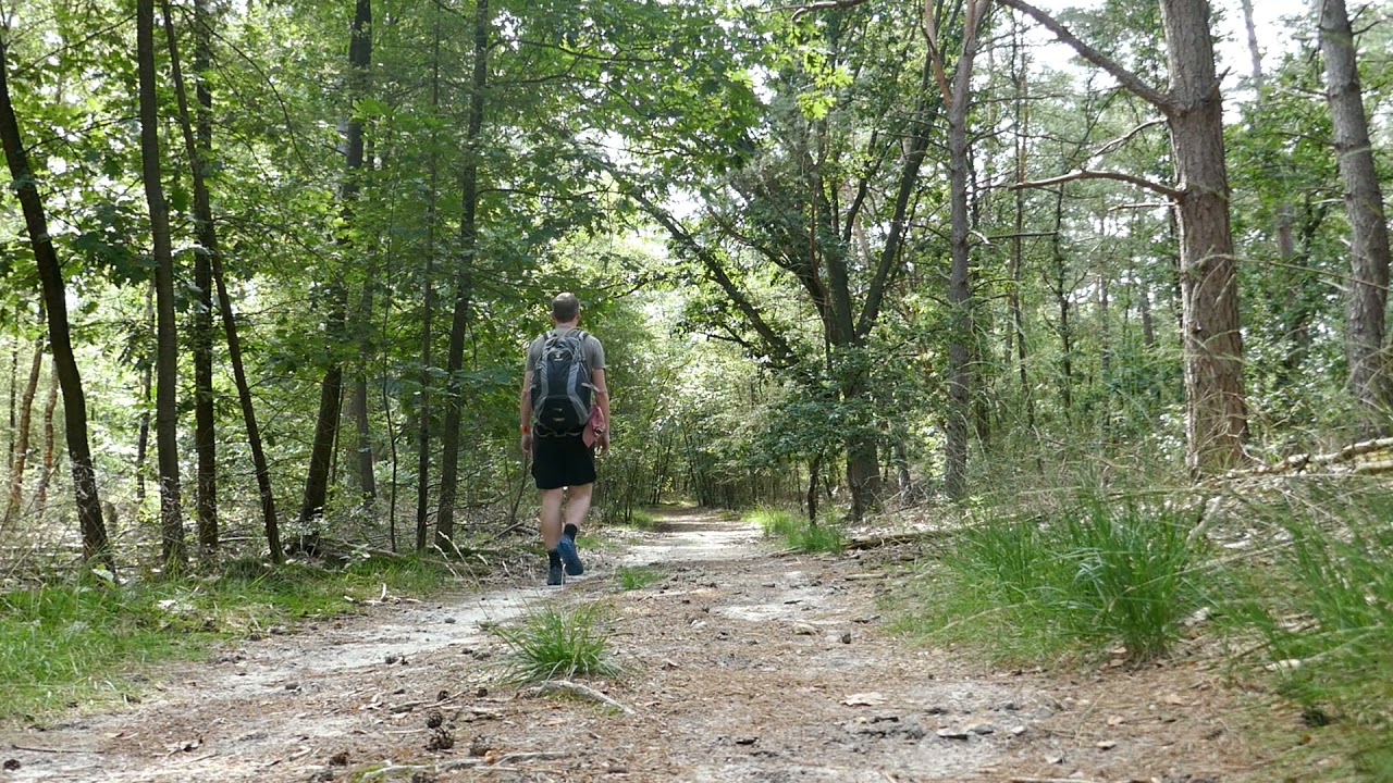 22 km NS wandeling Lange Duinen Amersfoort - Hollandsche Rading. Silent hiking video