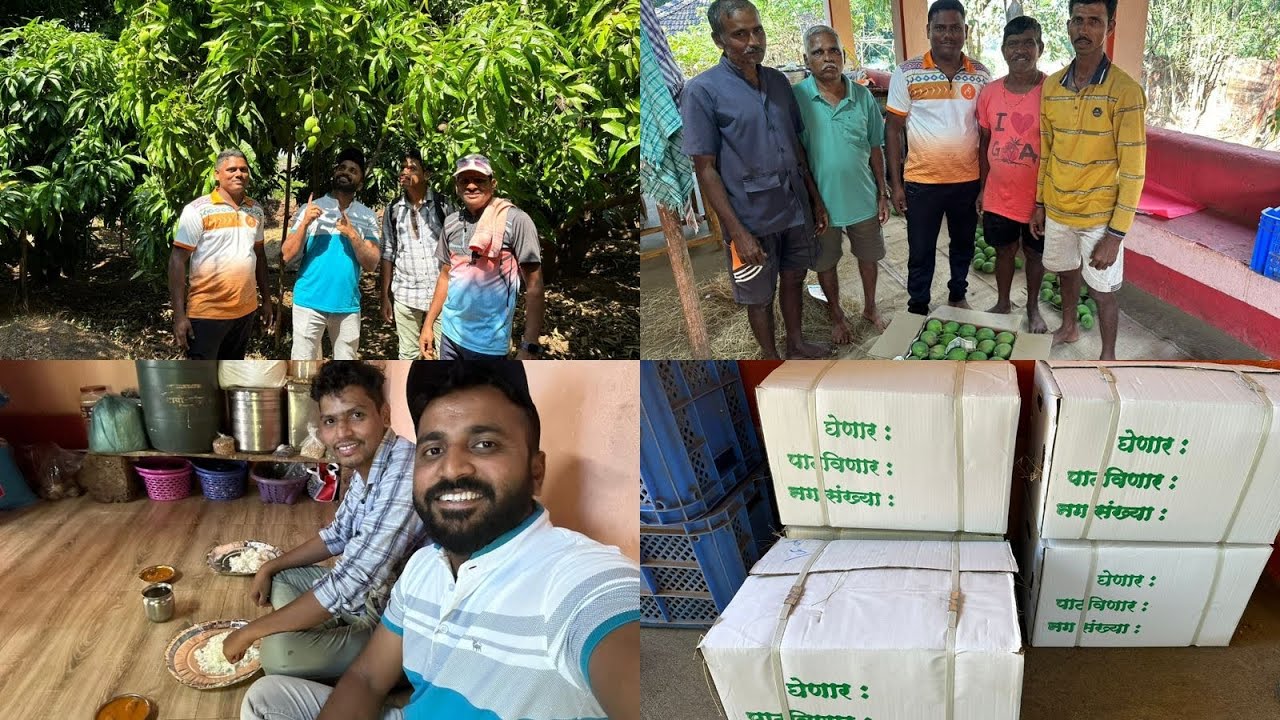 सासूबाईंसाठी देवगडात गेलो हापूस आणायला।पत्या सोबत माच्छीच्या जेवणाचा आनंद ❤️