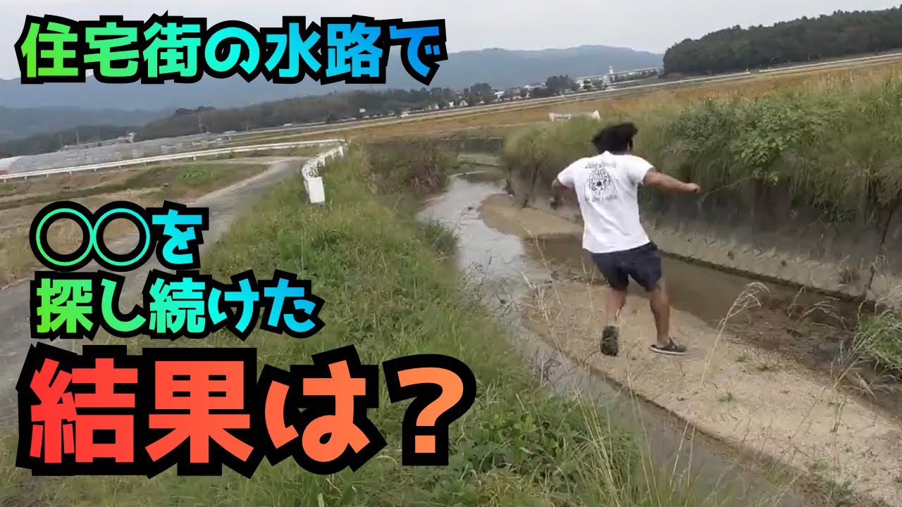 【釣りよか】住宅街の用水路で◯◯探し。やっぱり釣りよかはこういう動画が1番好き【切り抜き】