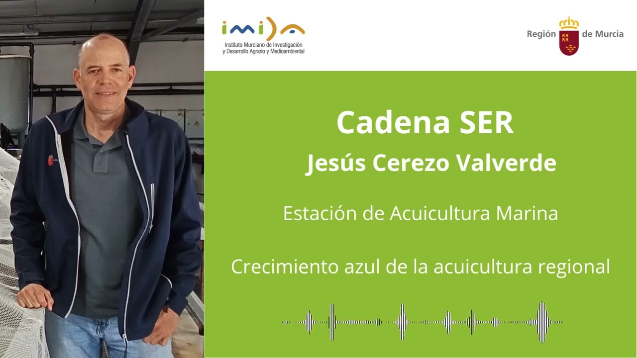 Entrevista a Jesús Cerezo en Cadena SER (02/11/2025)