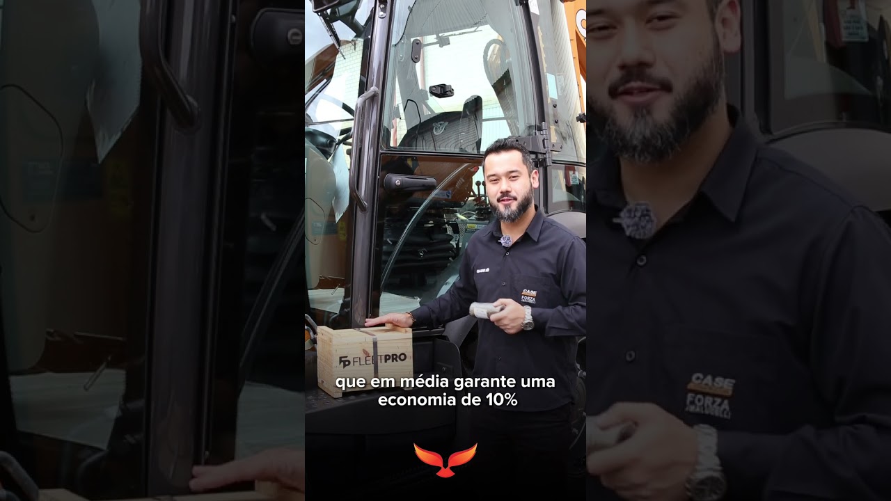 Pinos e Buchas
