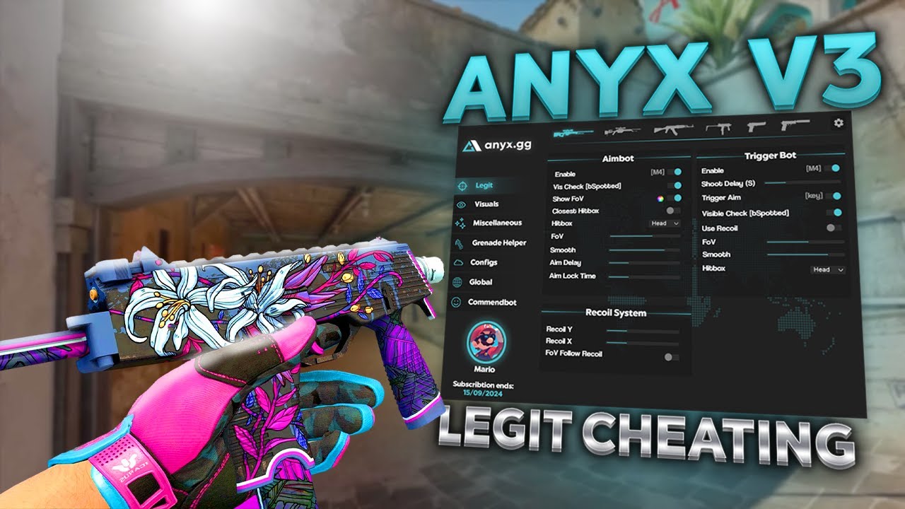 HOW TO GIVE CS2 CHEATS TO ANYONE THROUGH A LINK! | ANYX.GG V3 WEBRADAR! (CS2 CHEATING)