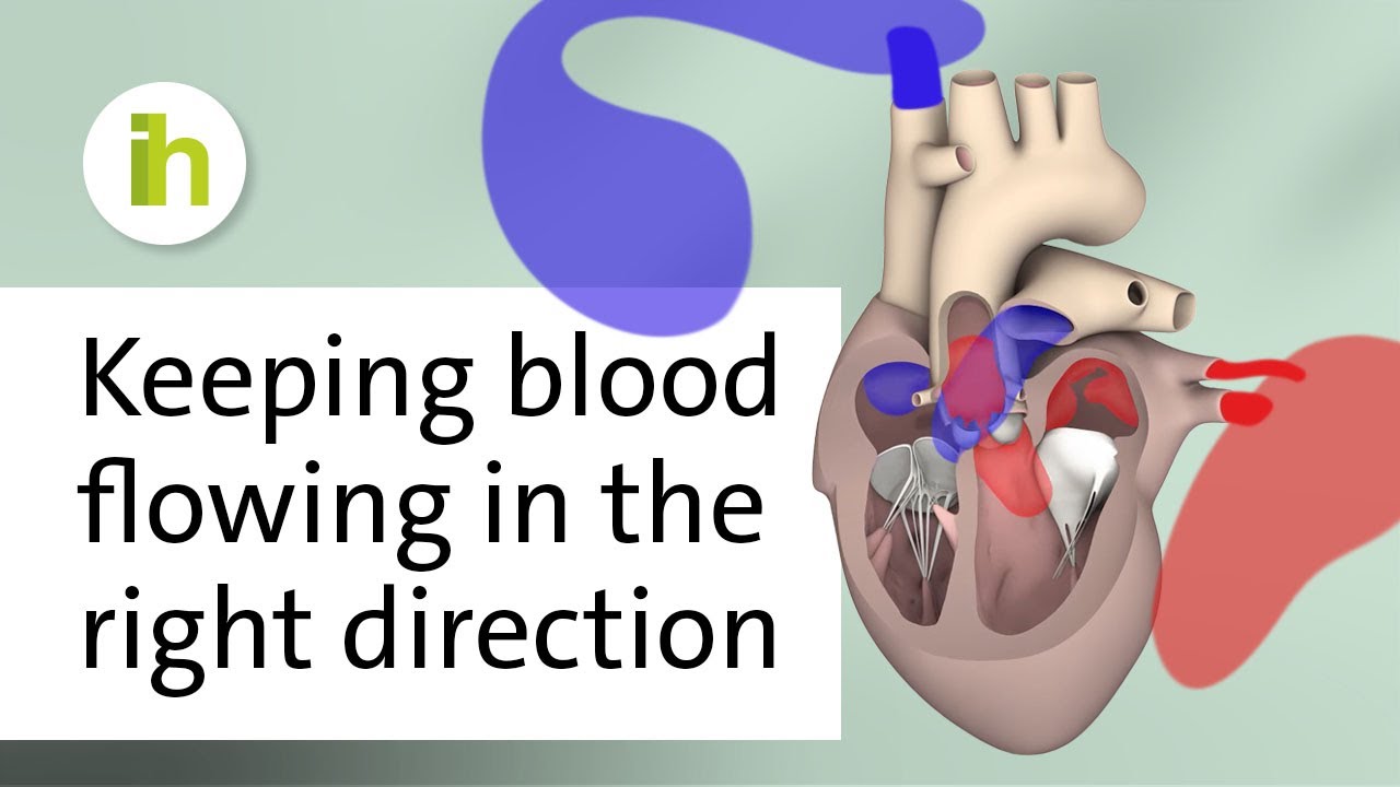 How does the heart pump blood?