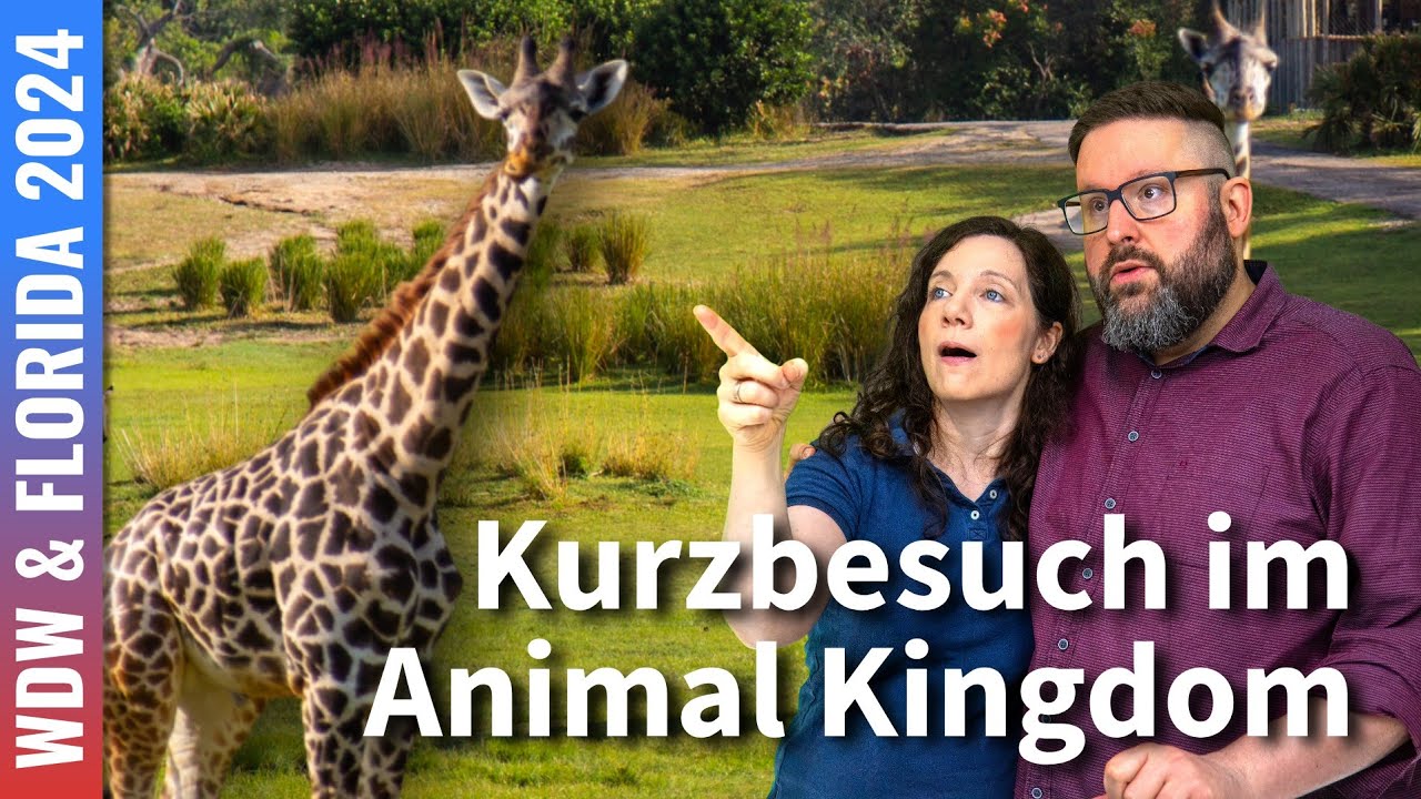Kurzbesuch in Disney's Animal Kingdom 🦁 Was kann man in 4 Stunden erleben?
