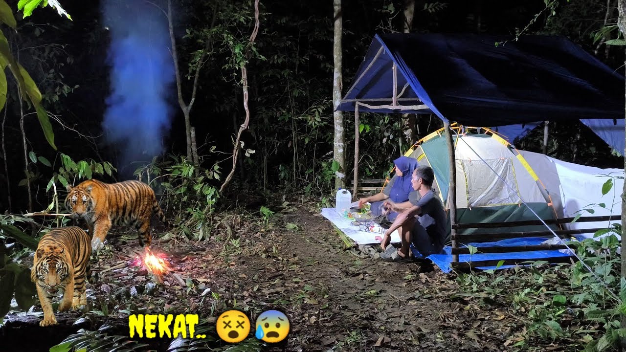 nekat camping di pintasan binatang buas.🤧🤧😵