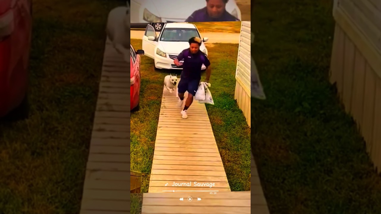 The dogs chasing delivery man 😂 #dog #attack #dogattack #shorts #funny  #shocked #1million #viral
