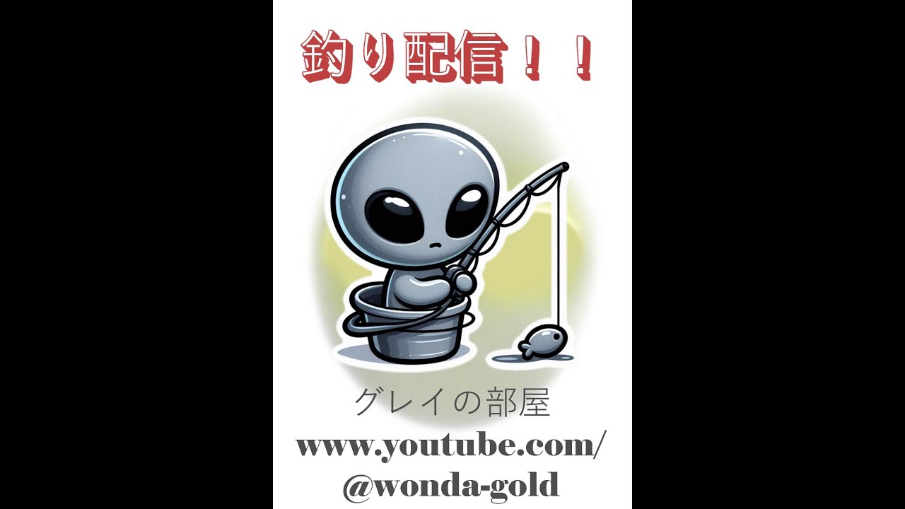 【いか釣り】ライブ配信になります。100円エギでヤリイカ釣り挑戦