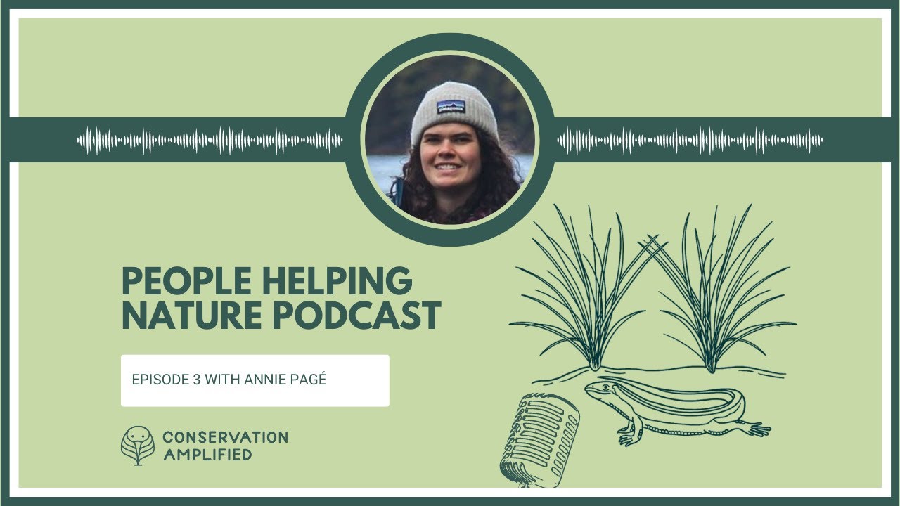 Conservation Through The Lens of Wildlife Pathology (with Annie Pagé)
