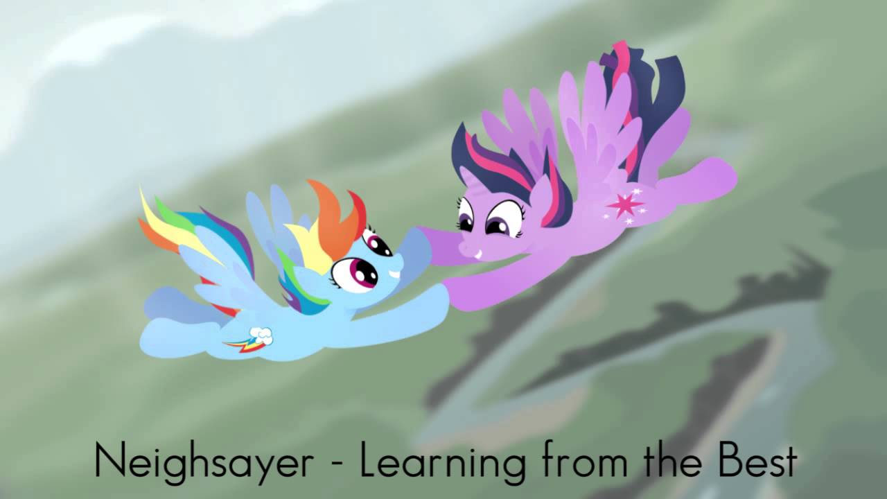 Neighsayer - Learning from the Best