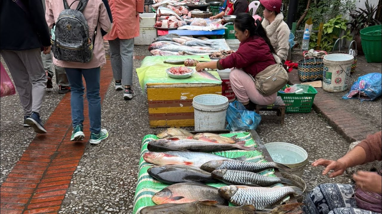 ตลาดเช้าหลวงพระบาง,ต้องไปเดินจ้า Luangprabang morning market 
