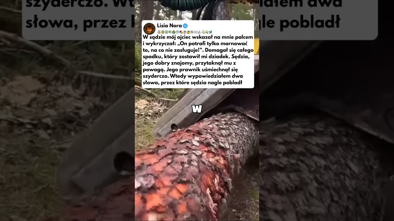 W sądzie Ojciec kazał na mnie patrzeć wykrzyczał on potrafi tylko marynować...