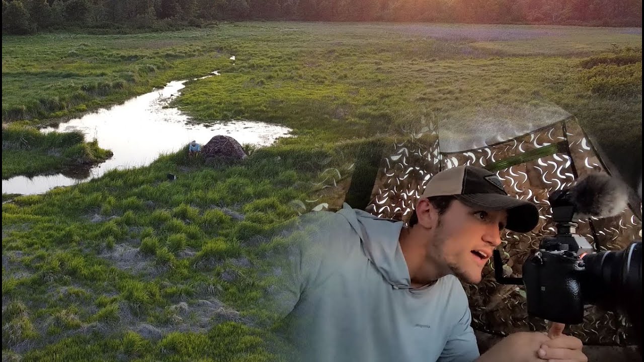 Tent Photo Blind - Cheap Alternative - Awesome Night Capturing Wildlife!