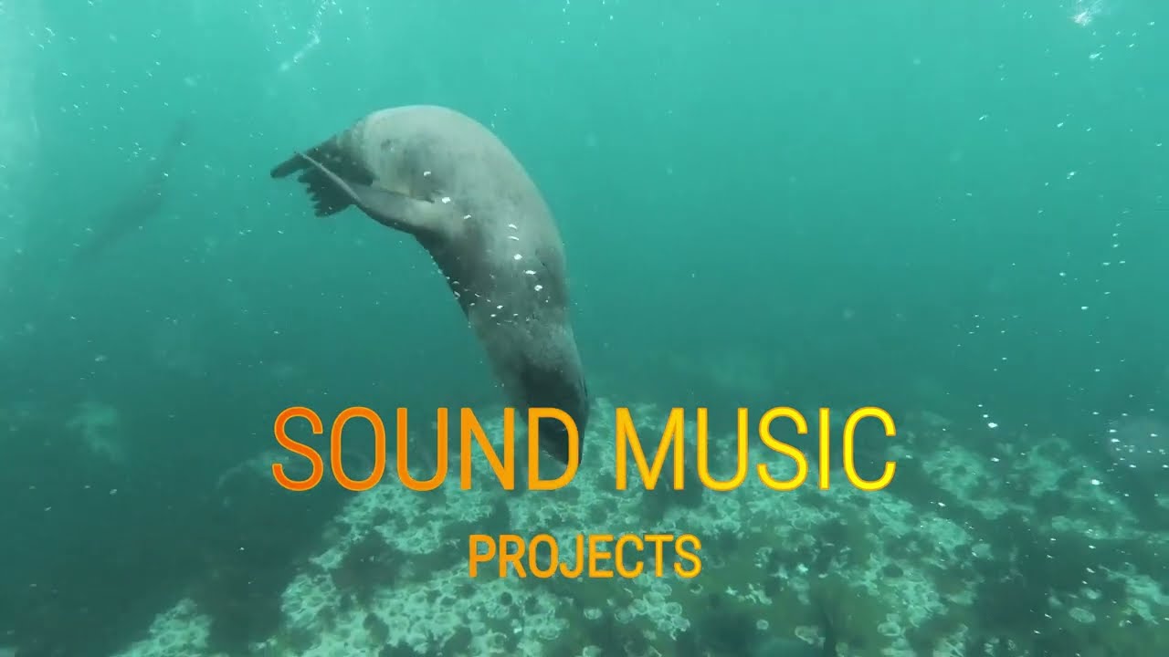 SOUND MUSIC TECHNO PROJECTS 15,NOVEMBER 2024 #music #musikviral #musictechno #musikdj
