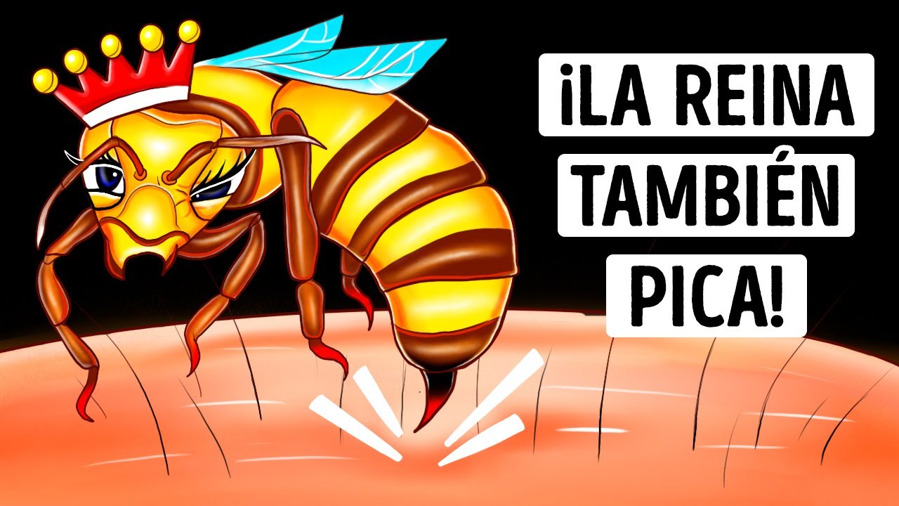 ¿Por qué la picadura de la abeja reina puede ser más peligrosa? Manténgase alerta