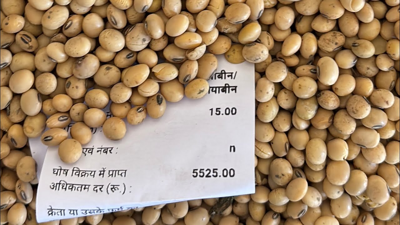 सोयाबीन सनसन्नाट🔥💥!! देवास मंडी सोयाबीन और गेंहू भाव 9 मार्च 2026 !! नया गेंहू भाव और आवक !!