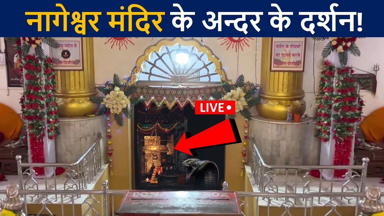 नागेश्वर मंदिर के अन्दर के लाइव दर्शन😲 एक बार जरुर देखे! | Nageshwar Jyotirlinga Hd Video | D2 Facts