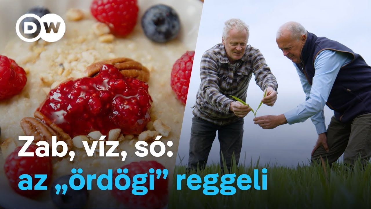 Tényleg a zabkása a világ egyik legegészségesebb reggelije? Skót tradíció, egy ördögi fordulattal