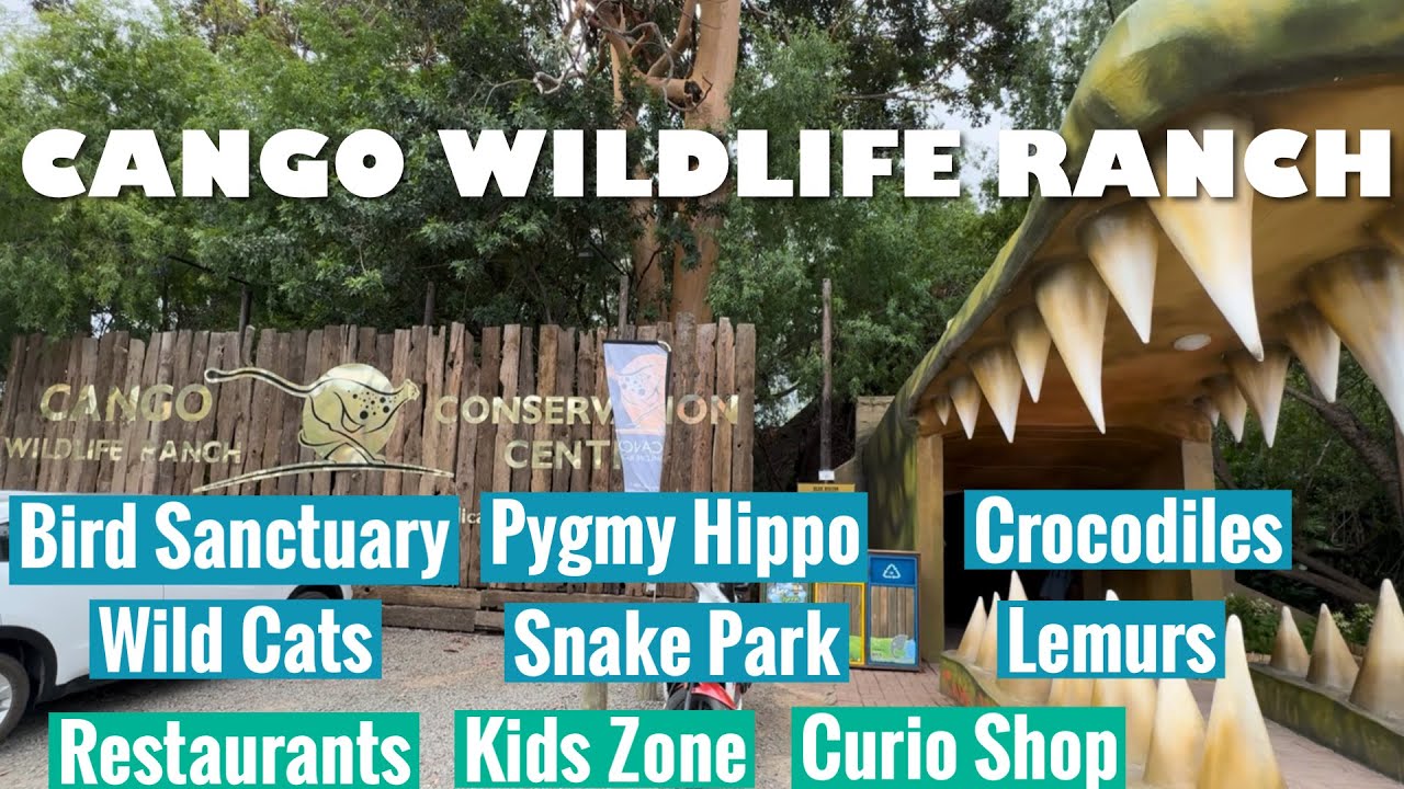 Cango Wildlife Ranch Experience