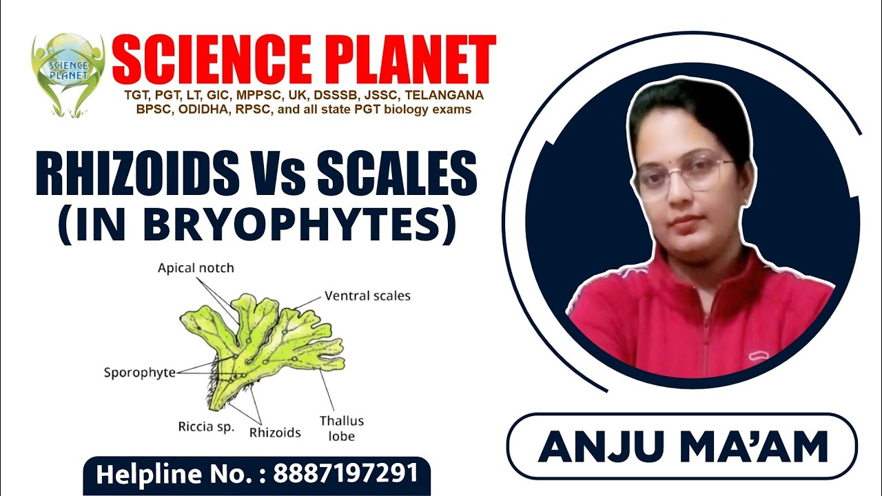 Rhizoids Vs Scales (in Bryophytes) by Anju Mam on Science Planet!