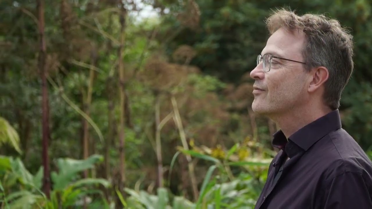Paul Mulder - Niet voor mij