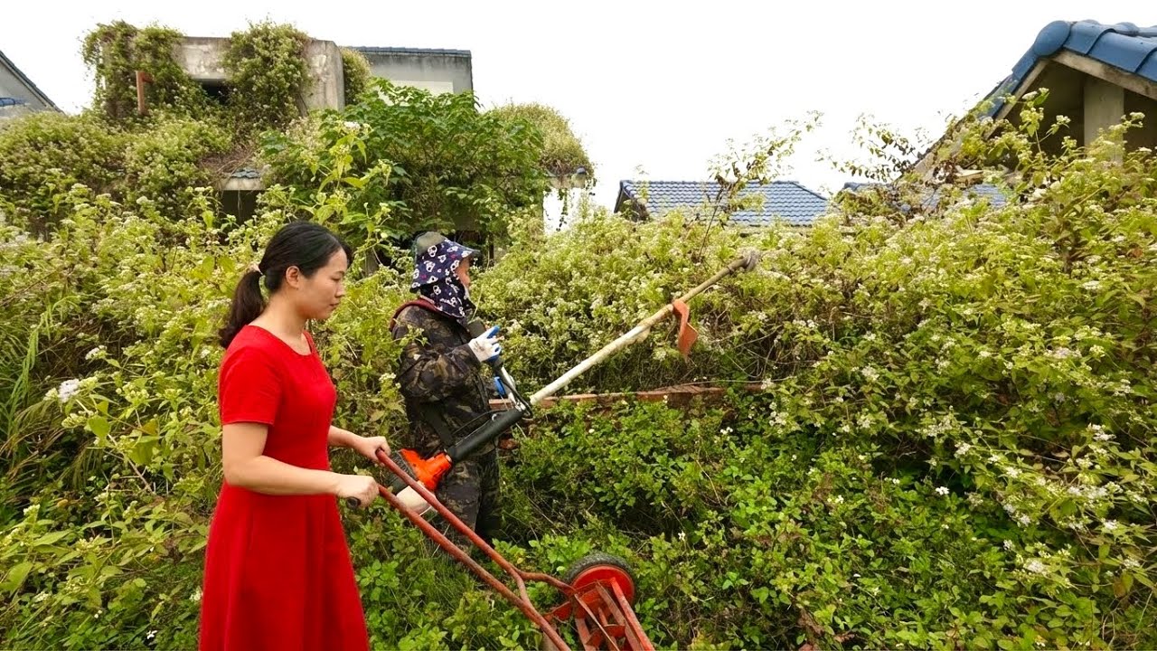 Girl Shocked Find Her Abandoned House Completely Overtaken by Weeds | Cleaning Up Startled Satisfied
