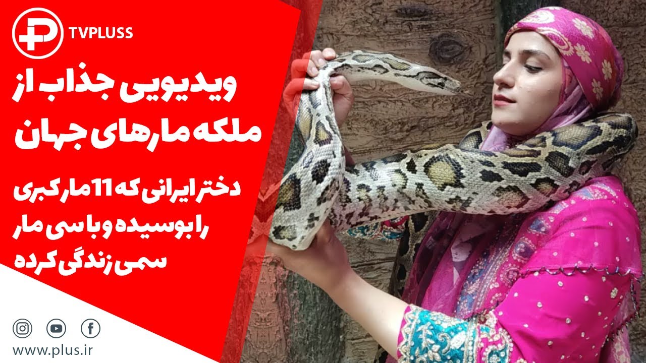 ویدیویی جذاب از ملکه مارهای جهان؛ دختر ایرانی که 11مار کبری را بوسیده و با سی مار سمی زندگی کرده
