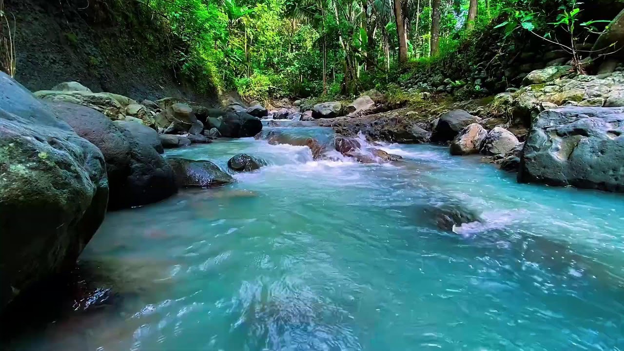Forest River Night Flow, Mountain Stream Sounds, Sleep