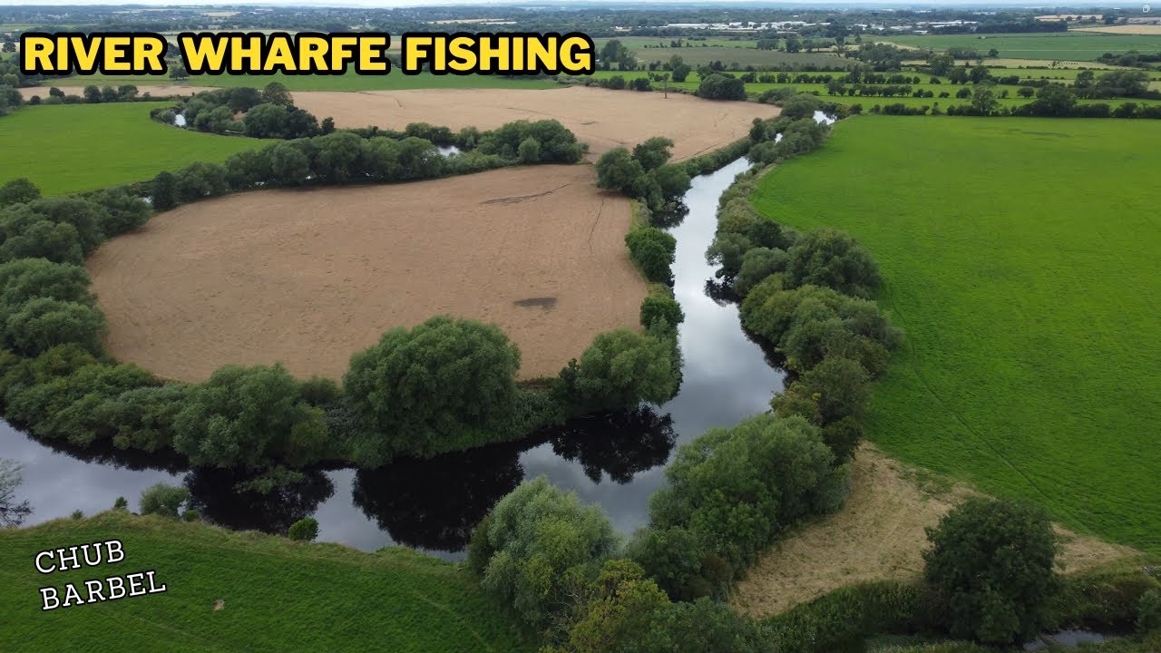 RIVER WHARFE FISHING CHUB BARBEL