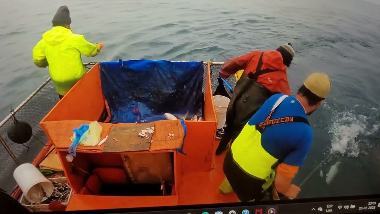 PESCA DEL DORADO O PALOMETA, HUASCO- CHILE