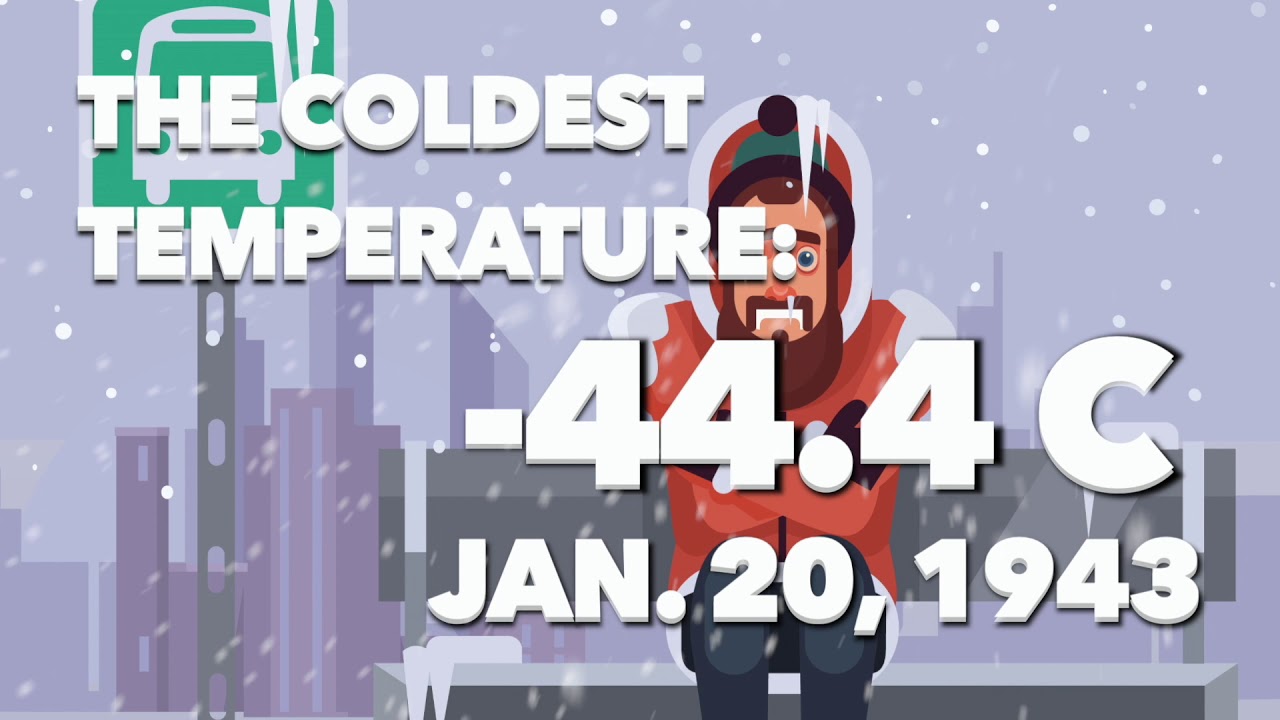 Edmonton weather averages in January