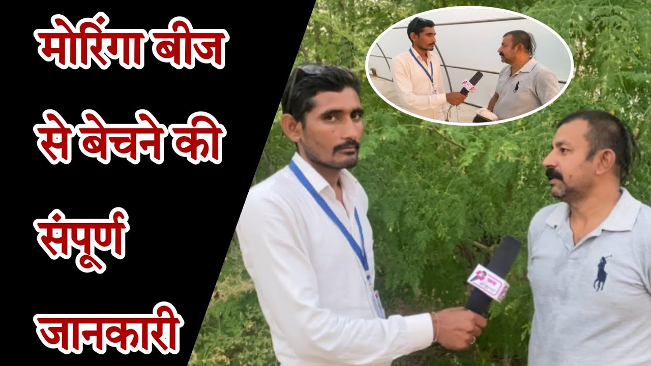 सहजन की खेती से करोड़ सालाना आय || बीकानेर मे पहला मोरिंगा फार्म | @JAIBIKANA