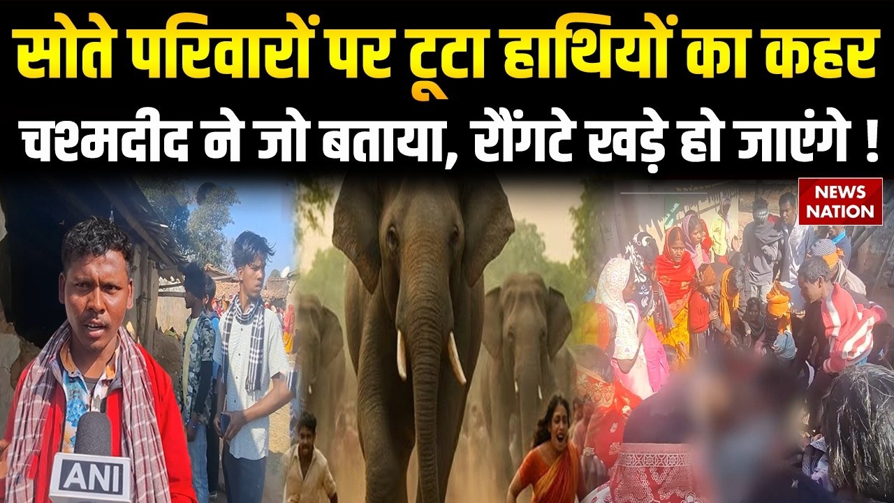 Hazaribagh Elephant Attack : हाथियों के झुंड ने 6 लोगों को कुचला, चश्मदीद की बातें रूह कंपा देंगी