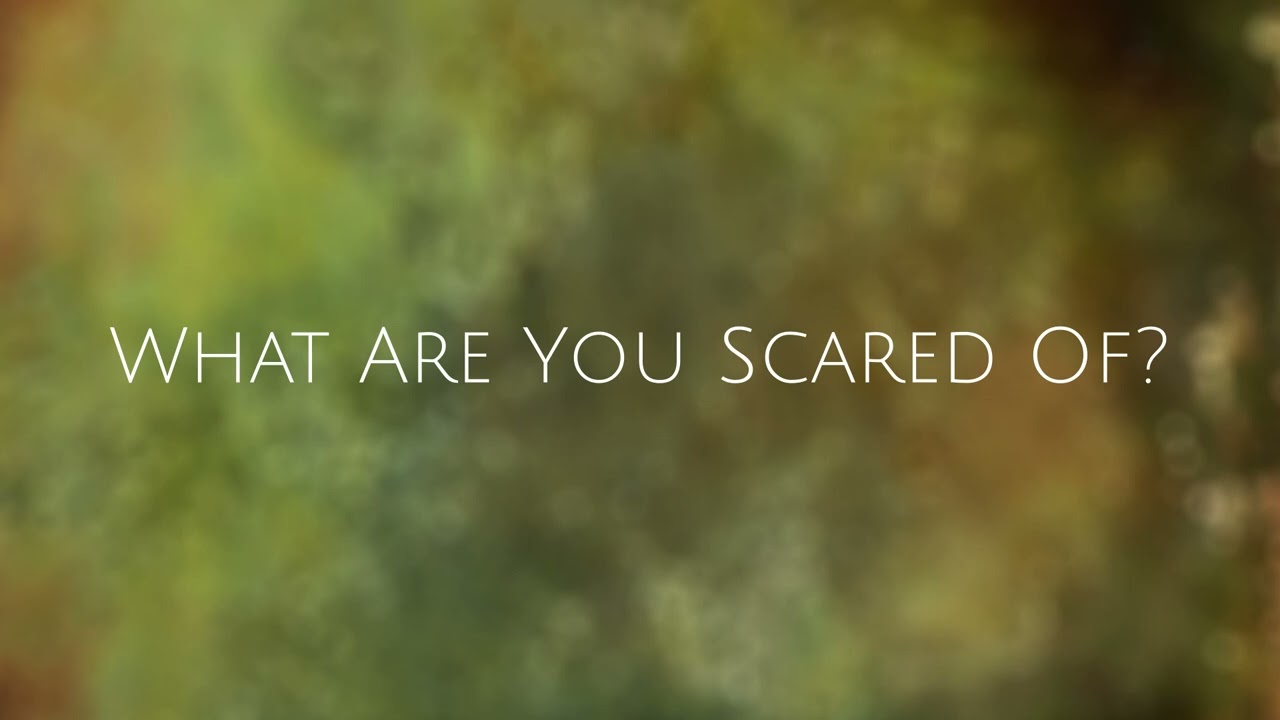 Lambent Bounds - What Are You Scared Of?